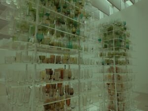 Dull picture of two glass shelved tours with many layers. Holding many different glass cups. It starts with green glasses at the top and trickles to brown glasses towards the bottom of the tours.